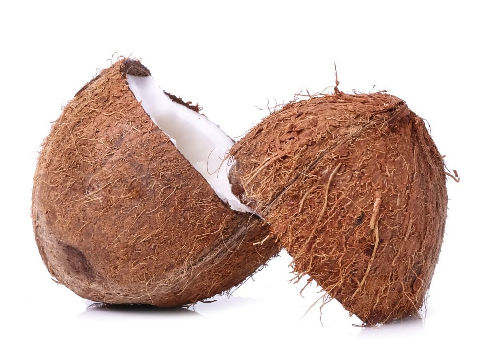 Premium Indonesian Coconut Supplier