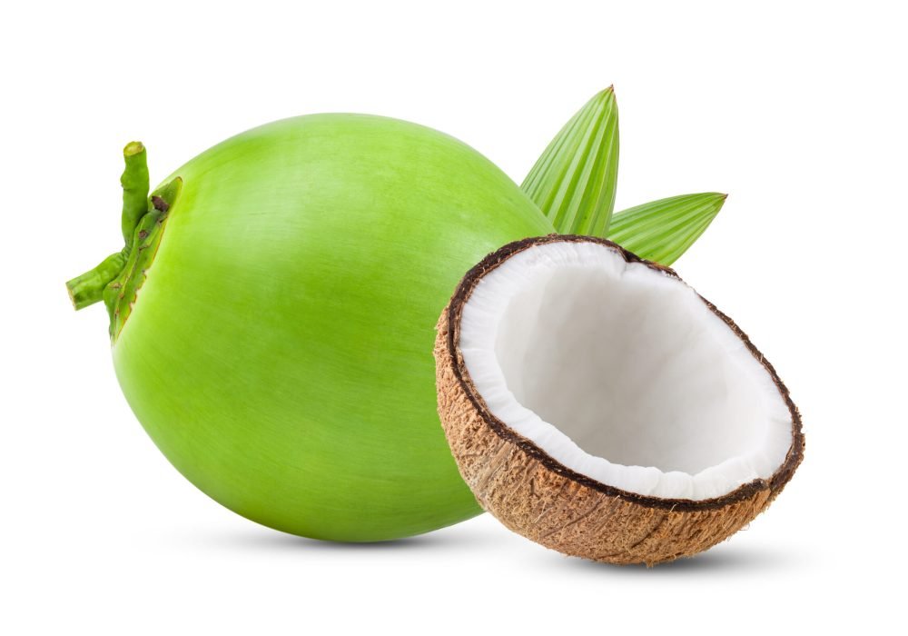 Premium Indonesian Coconut Supplier